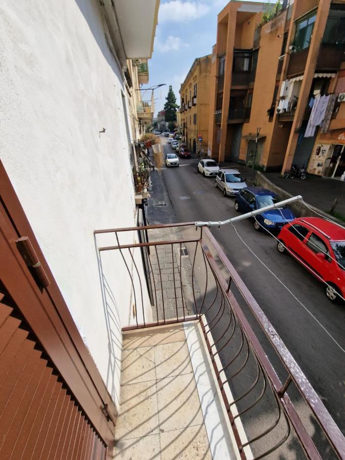 Severino Napoli